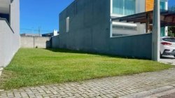 Imóvel - Foto 1
