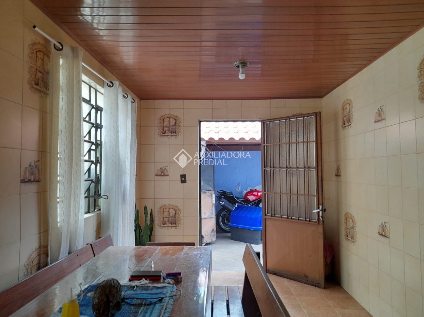 Foto 5