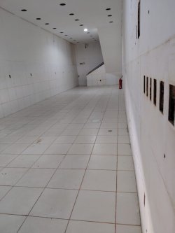 Imóvel - Foto 1