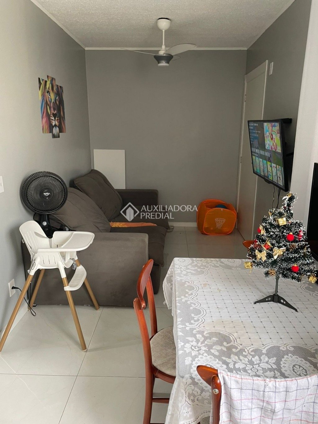 Foto 1