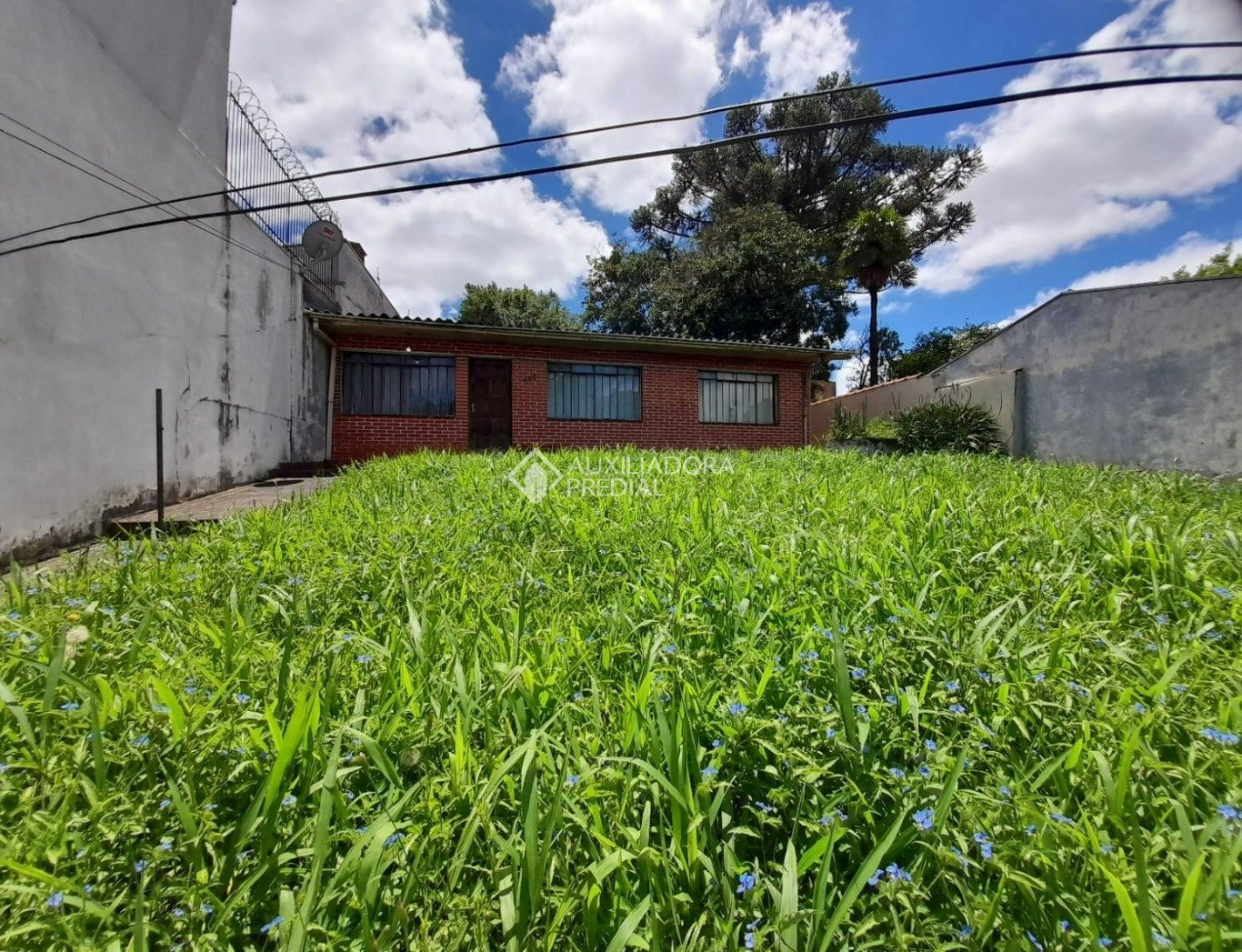 Terreno à venda em Mercês, Curitiba. (1 / 8)