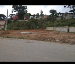 Imóvel - Foto 1