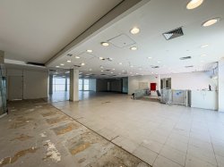Imóvel - Foto 1
