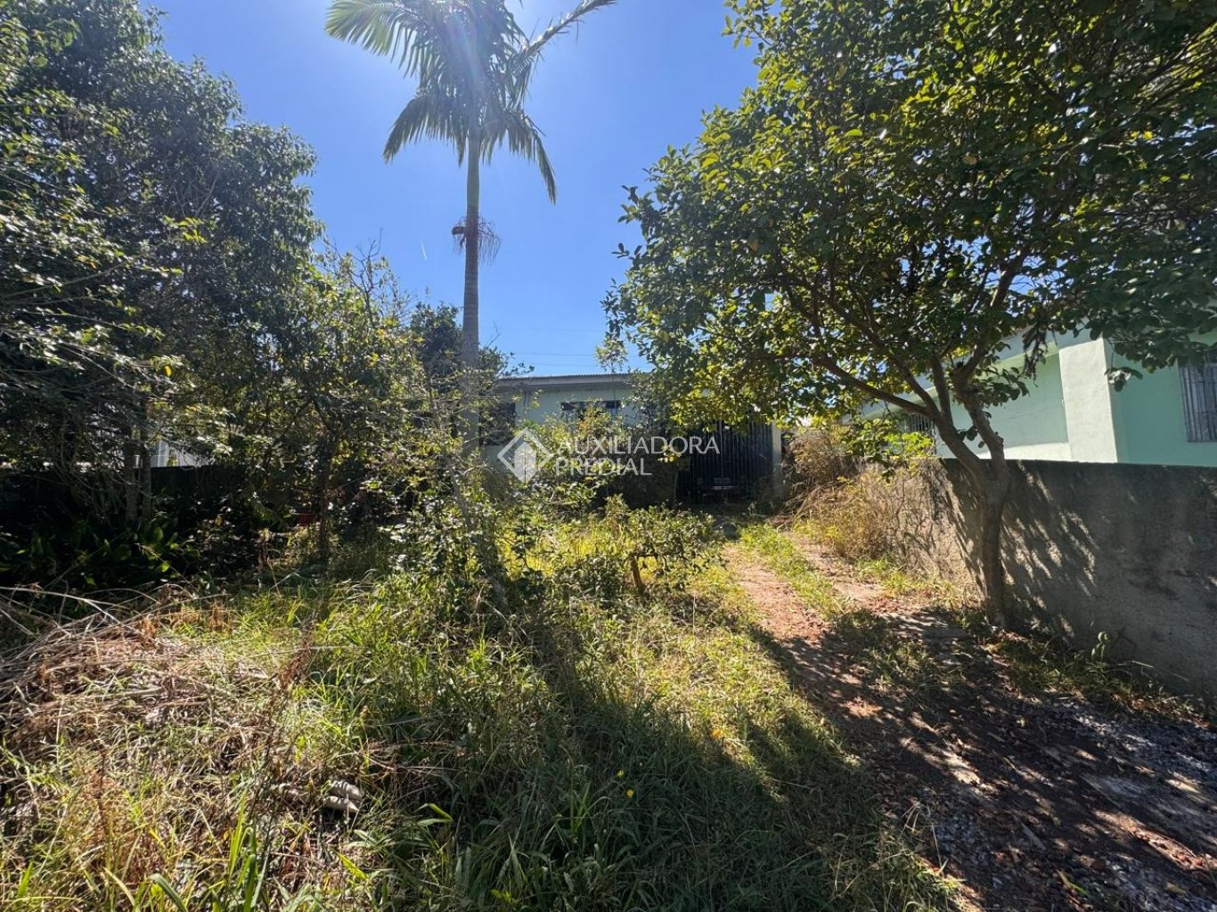Terreno à venda em Pinheirinho, Curitiba. (1 / 5)