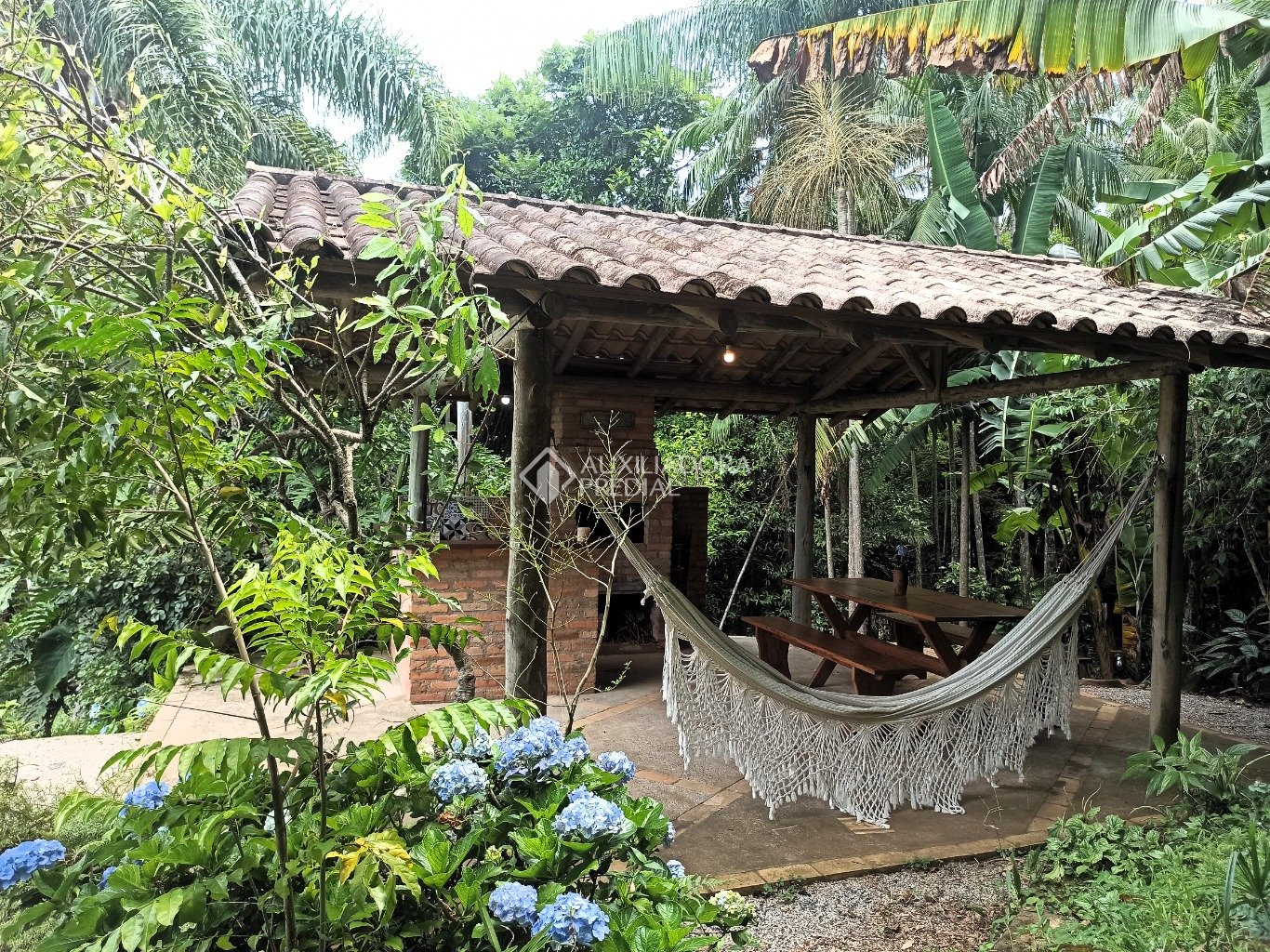 Foto 4