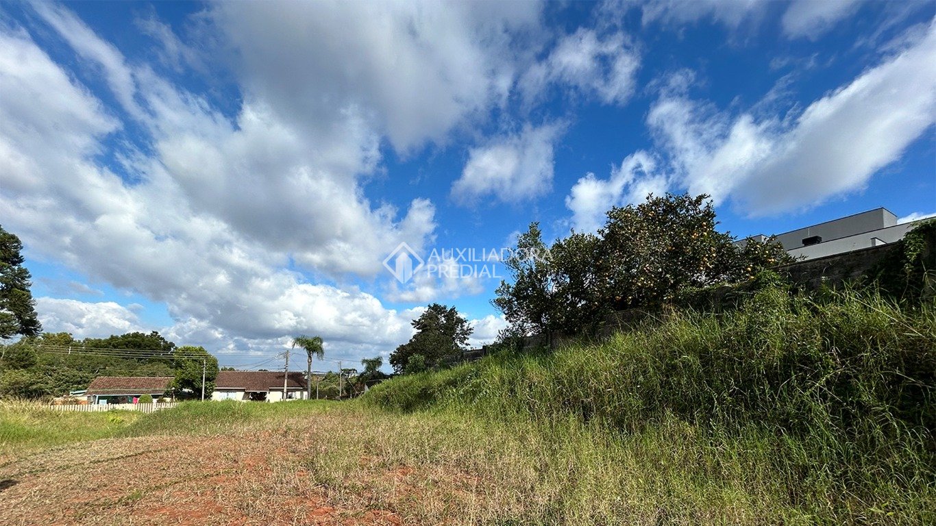 Terreno à venda em Campo Comprido, Curitiba. (3 / 9)