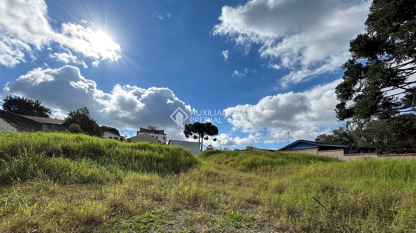 Terreno à venda em Campo Comprido, Curitiba. (2 / 9)