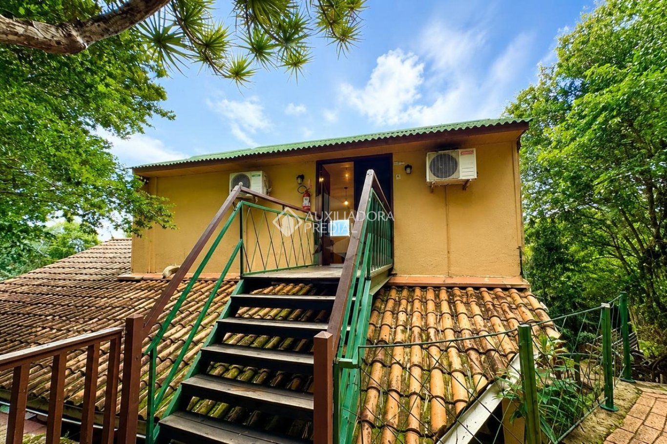 Foto 3