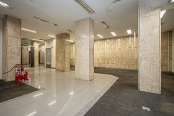 Imóvel - Foto 1