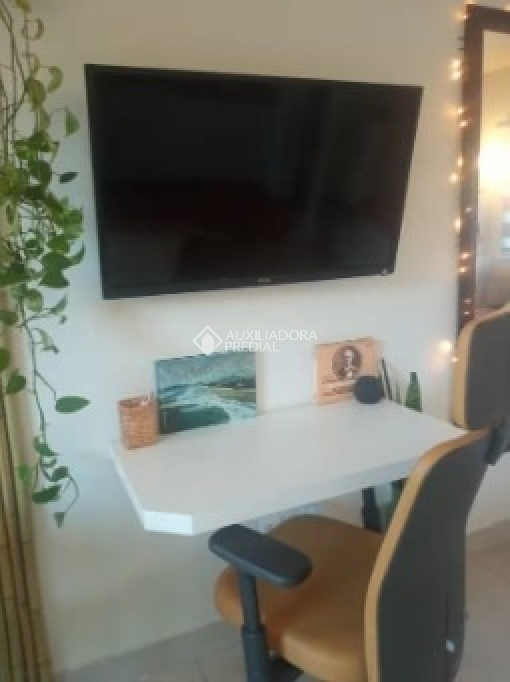 Foto 5