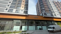 Imóvel - Foto 1