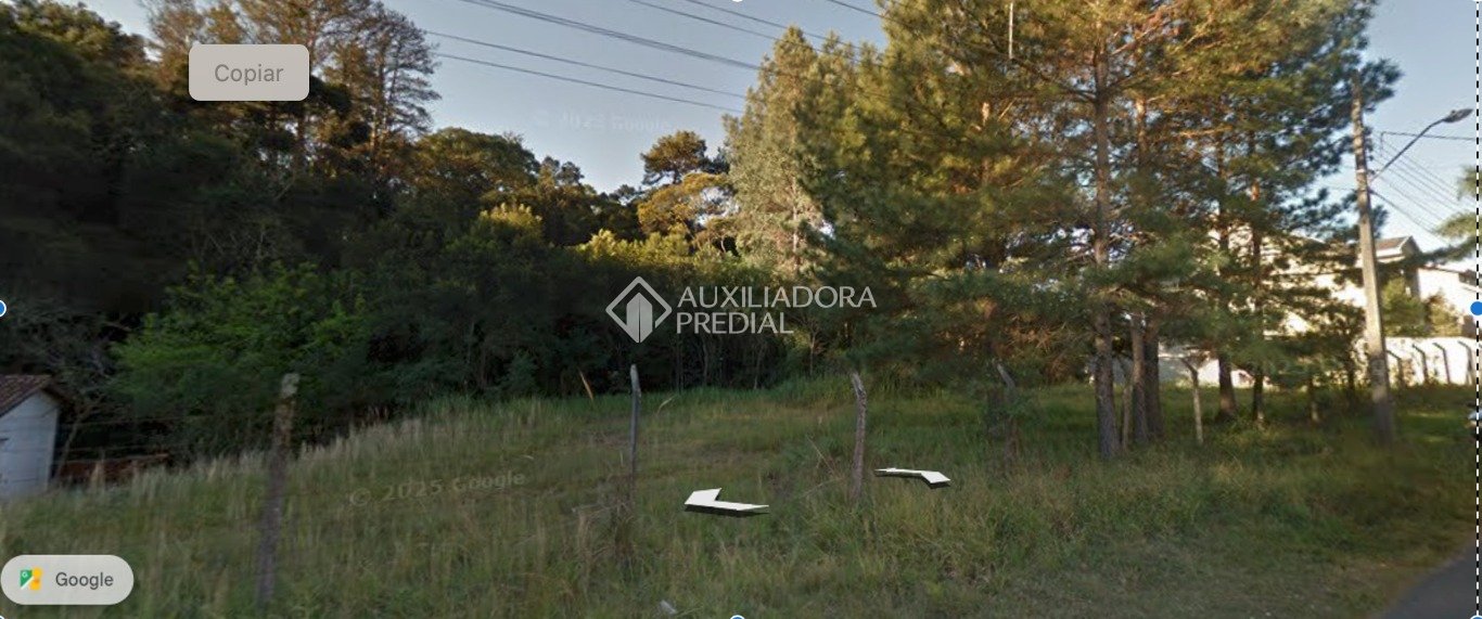 Área de Terras 3m² à venda em Mossunguê, Curitiba. (2 / 7)