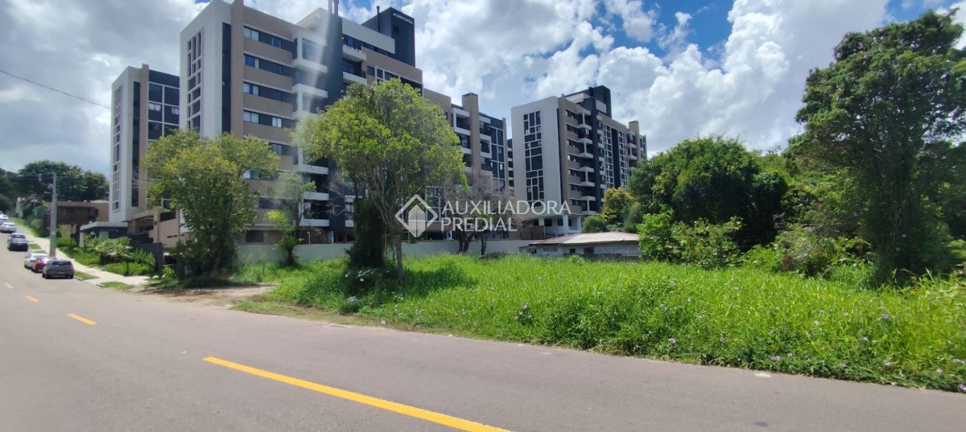Terreno à venda em Tingui, Curitiba. (2 / 9)