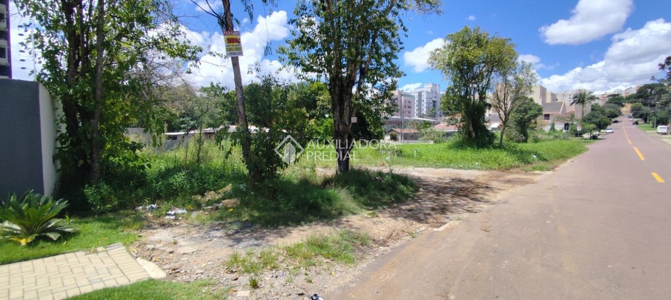 Terreno à venda em Tingui, Curitiba. (3 / 9)