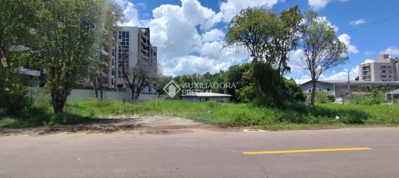 Terreno à venda em Tingui, Curitiba. (1 / 9)