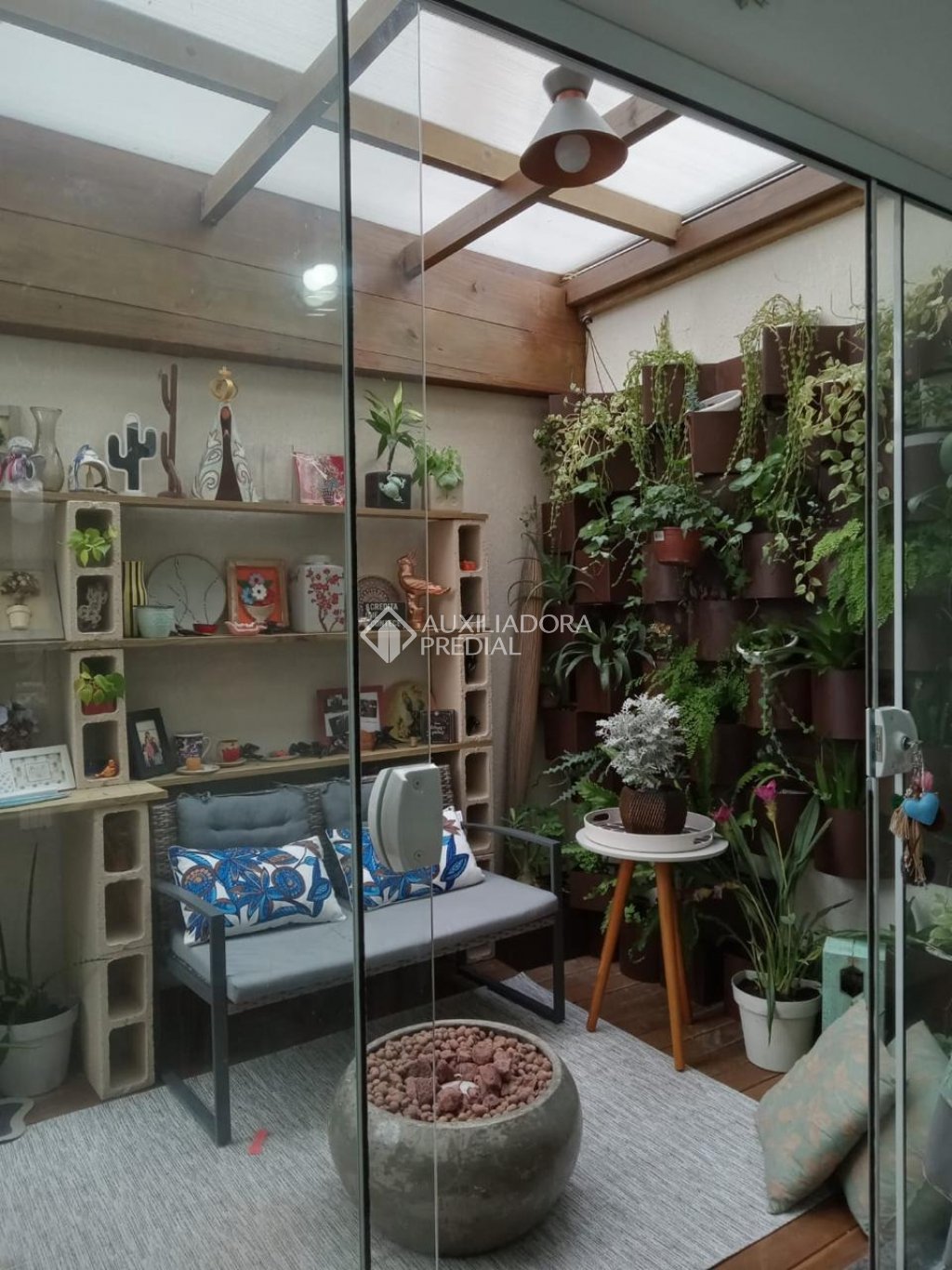 Foto 5