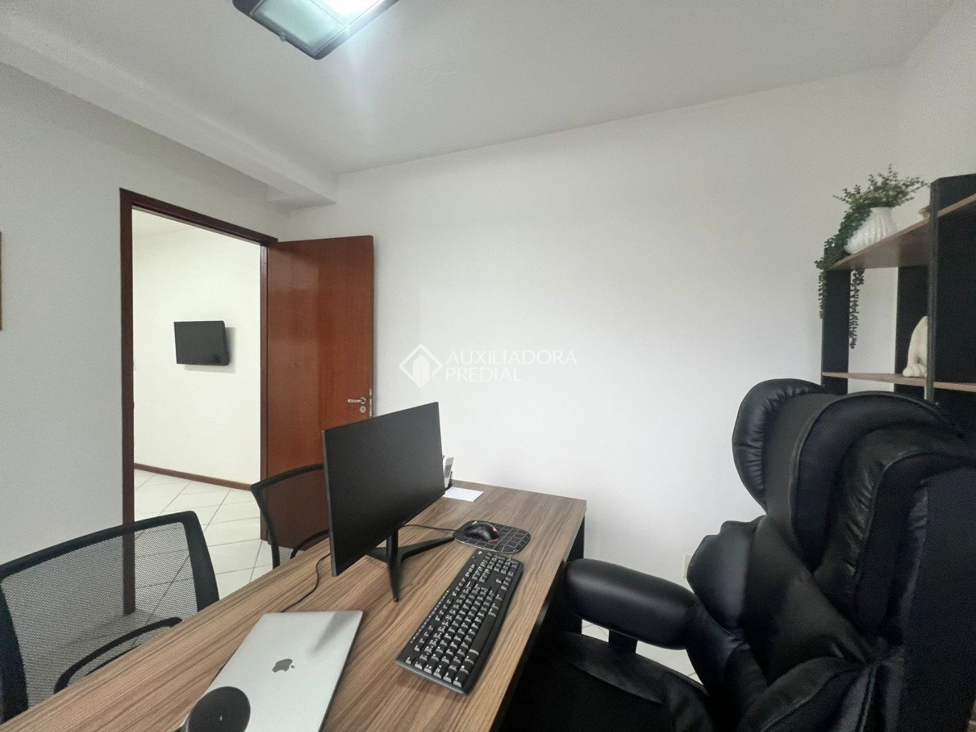 Foto 5