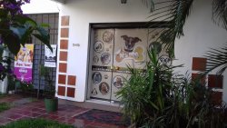 Foto 4