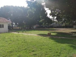 Imóvel - Foto 1