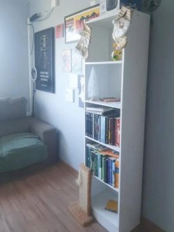 Foto 3
