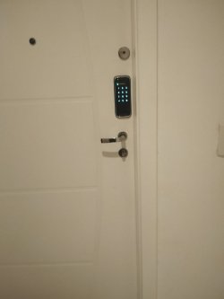 Foto 5