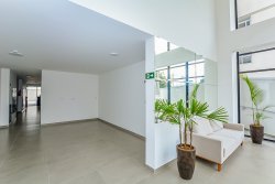 Imóvel - Foto 5