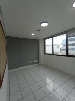 Imóvel - Foto 4
