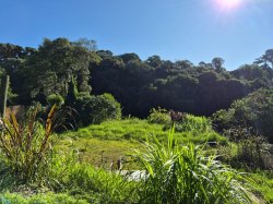 Imóvel - Foto 1