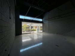 Imóvel - Foto 1